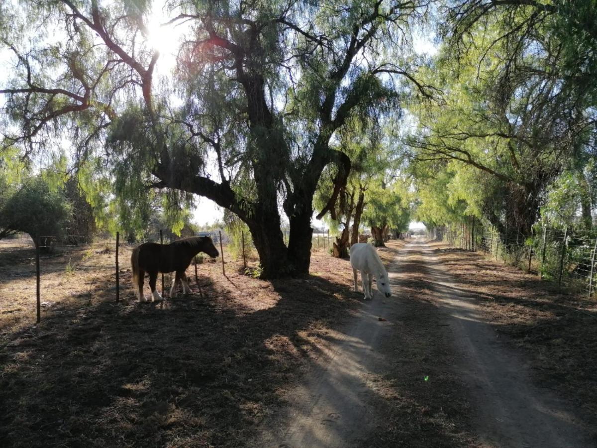 Doornfontein Guest Farm Hotel Cradock Exterior foto