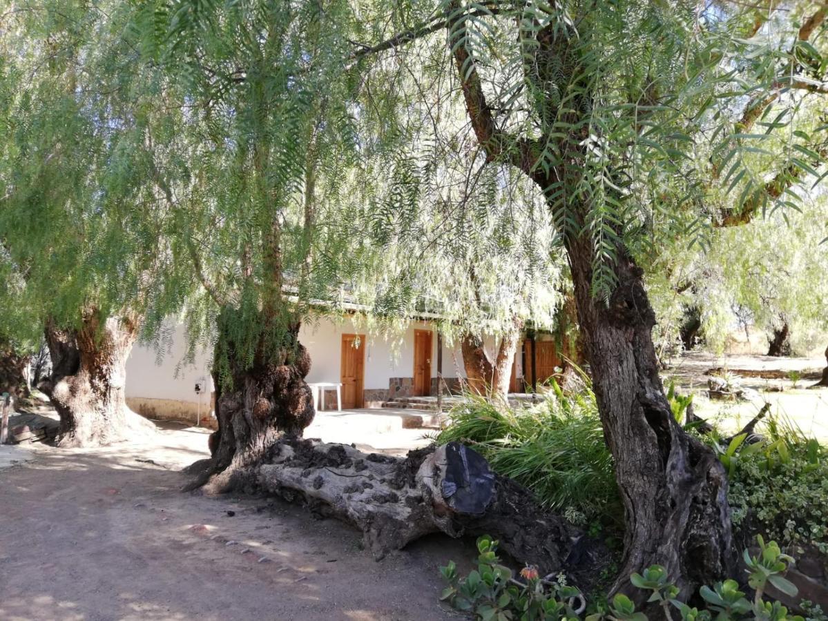 Doornfontein Guest Farm Hotel Cradock Exterior foto